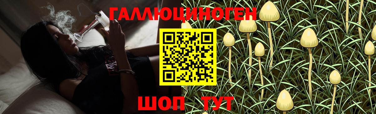 Псилоцибиновые грибы GOLDEN TEACHER  Вход с VPN  Саратов 